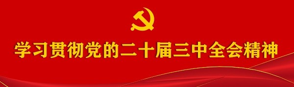 学习贯彻党的二十届三中全会精神